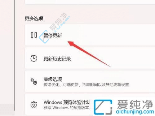 如何彻底关闭Win11自动更新？一劳永逸解决烦恼！