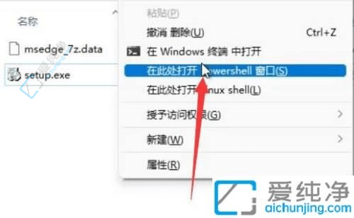 告别默认浏览器！详解如何卸载Win11中的Edge浏览器