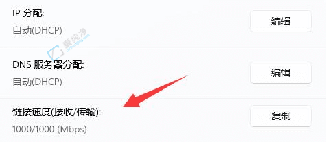 如何在Win11系统中查看网卡速率：轻松几步了解网络连接