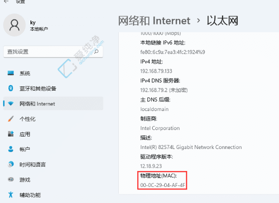 Win11系统中快速查看MAC地址的方法：掌握网络配置