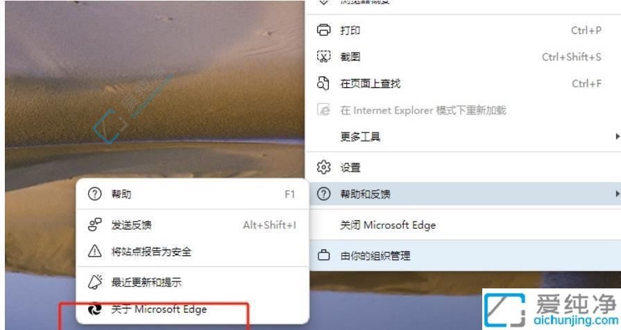 快速掌握Win11技巧：轻松查看Edge浏览器版本保持系统安全稳定
