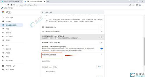 深入探索Win11中的Chrome浏览器：如何轻松清除单个网站缓存