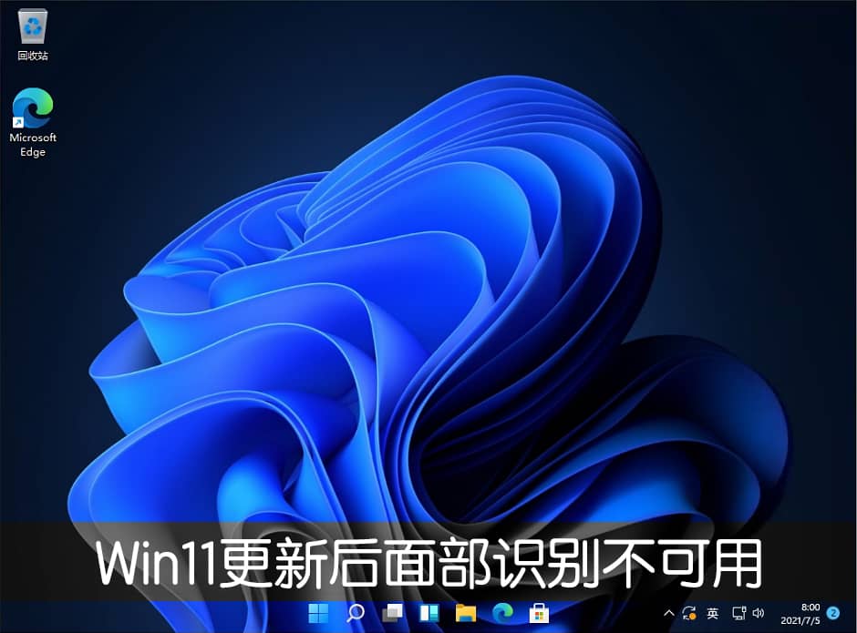 Win11系统更新22000.100后面部识别不可用怎么办？