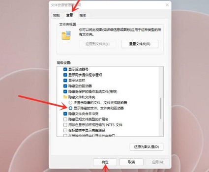 w11隐藏文件怎么显示_win11系统隐藏文件的查看步骤