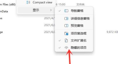 w11隐藏文件怎么显示_win11系统隐藏文件的查看步骤