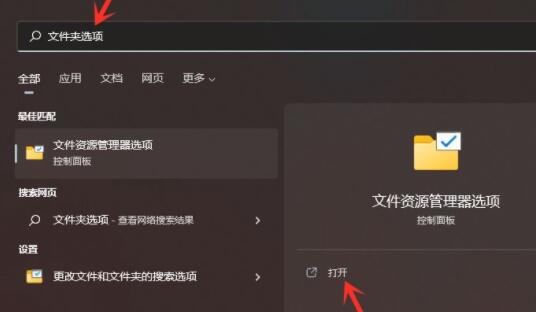 w11隐藏文件怎么显示_win11系统隐藏文件的查看步骤