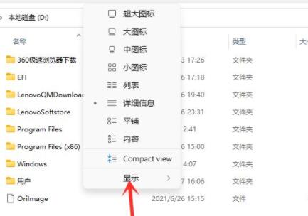 w11隐藏文件怎么显示_win11系统隐藏文件的查看步骤