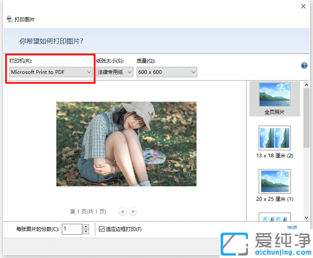 Win10电脑里图片怎么转换PDF格式