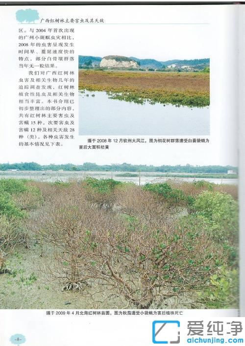 Win7佳能复印机扫描功能怎么用