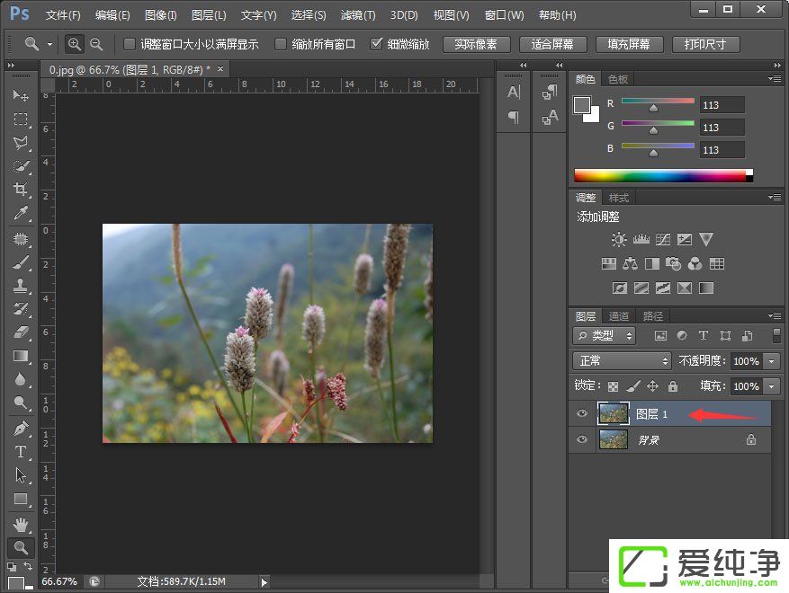 PS调出小清新植物图片
