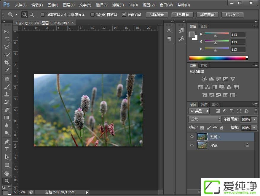 PS调出小清新植物图片