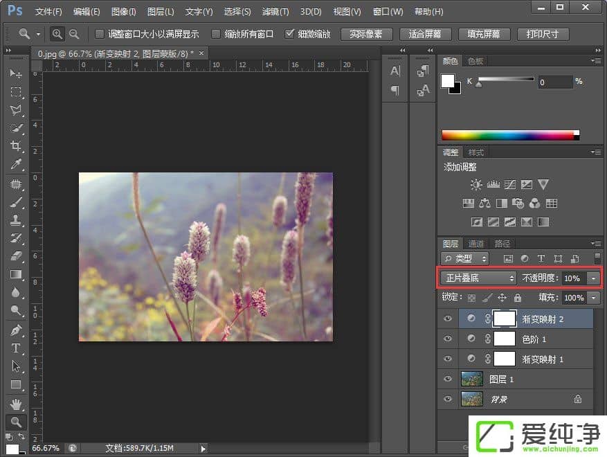 PS调出小清新植物图片