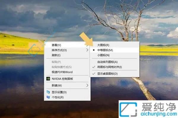 win10怎么调整桌面图标大小-Win10电脑桌面图标大小调整方法
