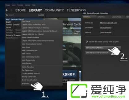 win10玩生存进化提示视频驱动程序崩溃并被重置怎么解决