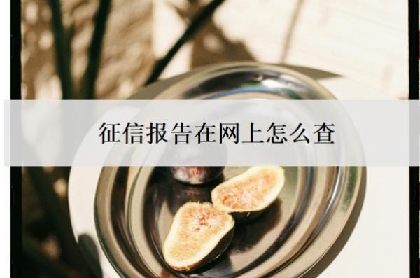 征信报告在网上怎么查？个人征信逾期记录怎么消除？