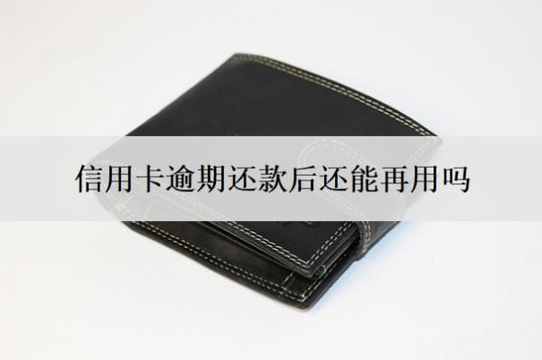 信用卡逾期还款后还能再用吗？怎么自己申请停息挂账？