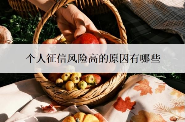 个人征信风险高的原因有哪些？风险高怎么办？