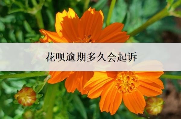 花呗逾期多久会起诉?逾期一个月可以补救吗?