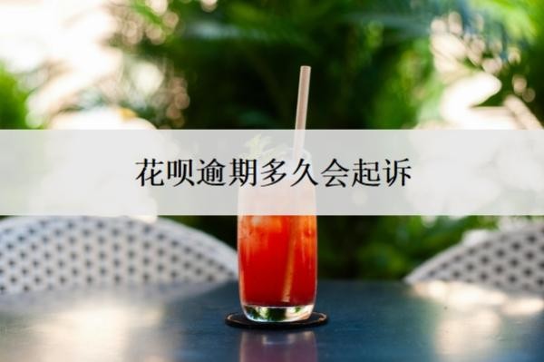 花呗逾期多久会起诉?逾期一个月可以补救吗?