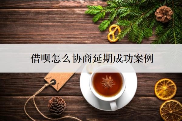 借呗怎么协商延期成功案例，延期成功后在哪里看？